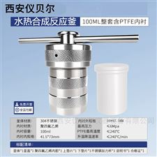 FKH-100ml100ml防爆水热合成反应釜T型聚四氟乙烯内胆